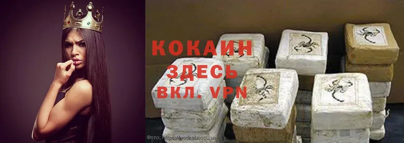 КОКАИН Fish Scale  где продают   Свободный 